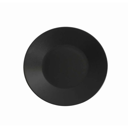 § Plato Llano Negro Stoneware The Reserv