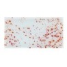 Bandeja Rect. Lyra 32X17X1.5Cm (4Mm)
