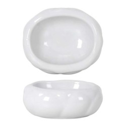 #-12-  Plato Varadero 22X19X9Cm