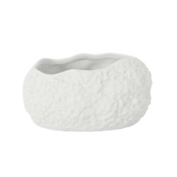 #-48- Bowl Cantabro 12X8.5X6Cm