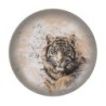 Plato Postre Tigre-Savanna  Ø21X2.2Cm
