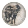Plato Presentacion Elefante-Savanna  Ø32X2Cm