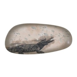 Bandeja Cocodrilo-Savanna 36X17Cm