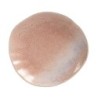 Plato Pan Tone Blush 15X14X2Cm