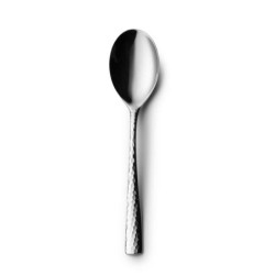 #-48-Cuchara Postre Mercury 18/0