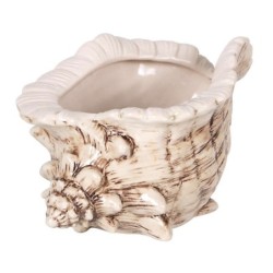 #-24- Tiki Caracola 18X12X10Cm 50Cl