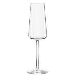 Copa Champagne Power 24Cl