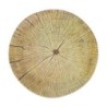 Plato Llano St Tree 24X2Cm