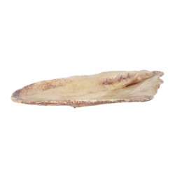 Bandeja Mejillon Momi 52X23.5X5.5Cm