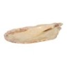 Bandeja Mejillon Momi 34X15.5X3.5Cm