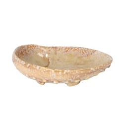 #-12- Bandeja Abalon Momi 19X15X6Cm