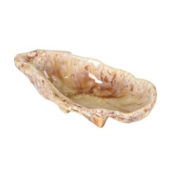 #-24- Ostra Momi 13X7X3.5Cm