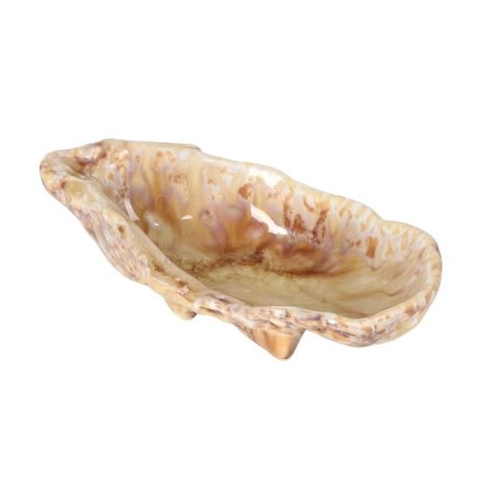 #-24- Ostra Momi 13X7X3.5Cm