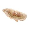 #-24- Ostra Momi 13X7X3.5Cm
