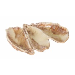 Ostra Triple Momi 18X14X3.4Cm