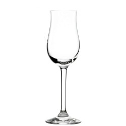Copa Grappa Bar 10.5Cl 5.6X17Cm