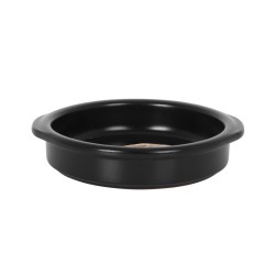 Cazuela Con Asas Professional Ø15X3.5Cm