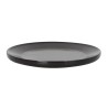 Plato Churrasco Professional Ø28X2Cm