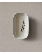 Foresta